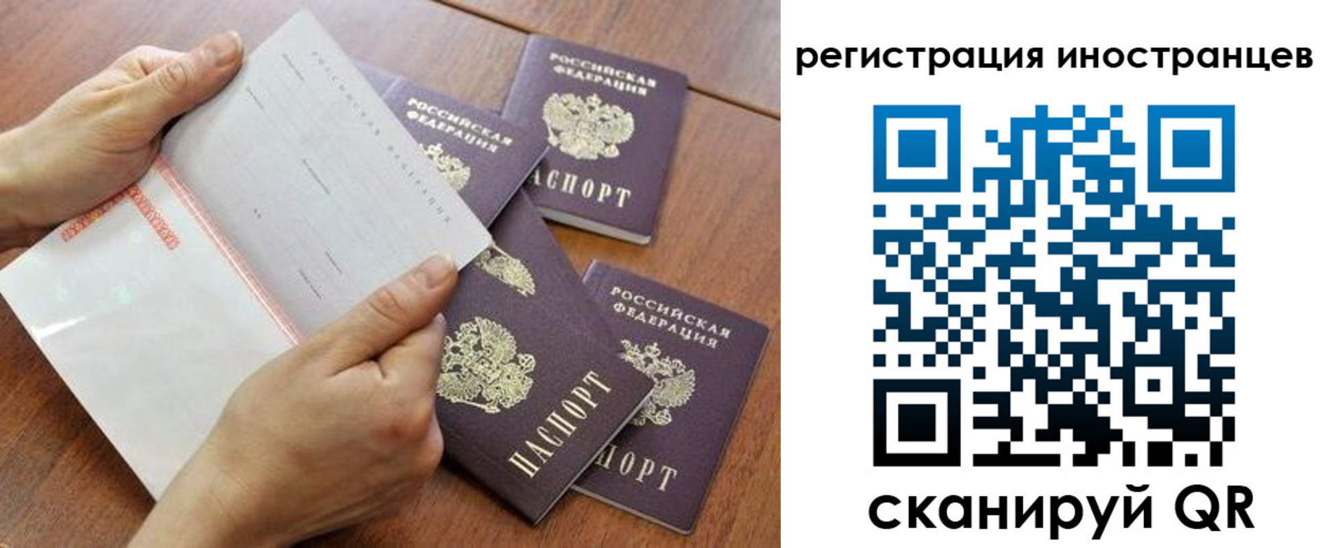 прописка поиск в Приозерске